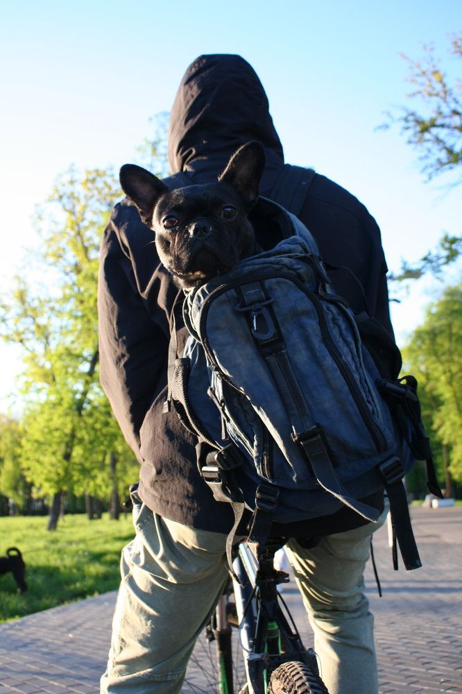 Фотография автора Татьяна Шебаршенко