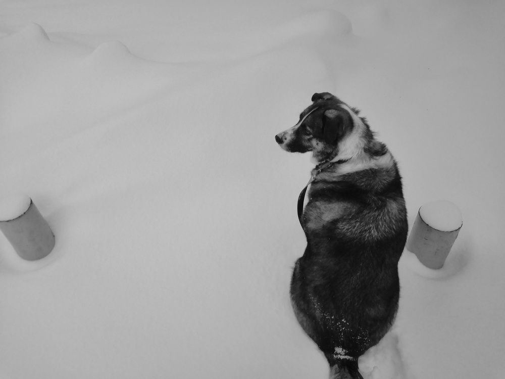 Photograph by Зимфира Хазиева