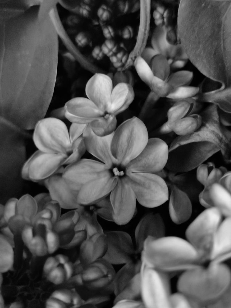 Photograph by Зимфира Хазиева