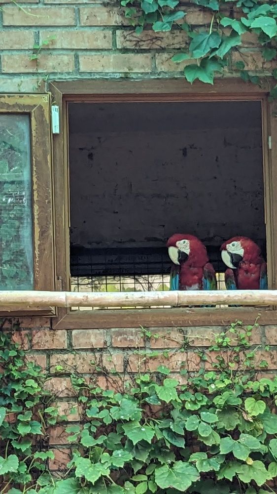 Photograph by Lilit Petrosyan