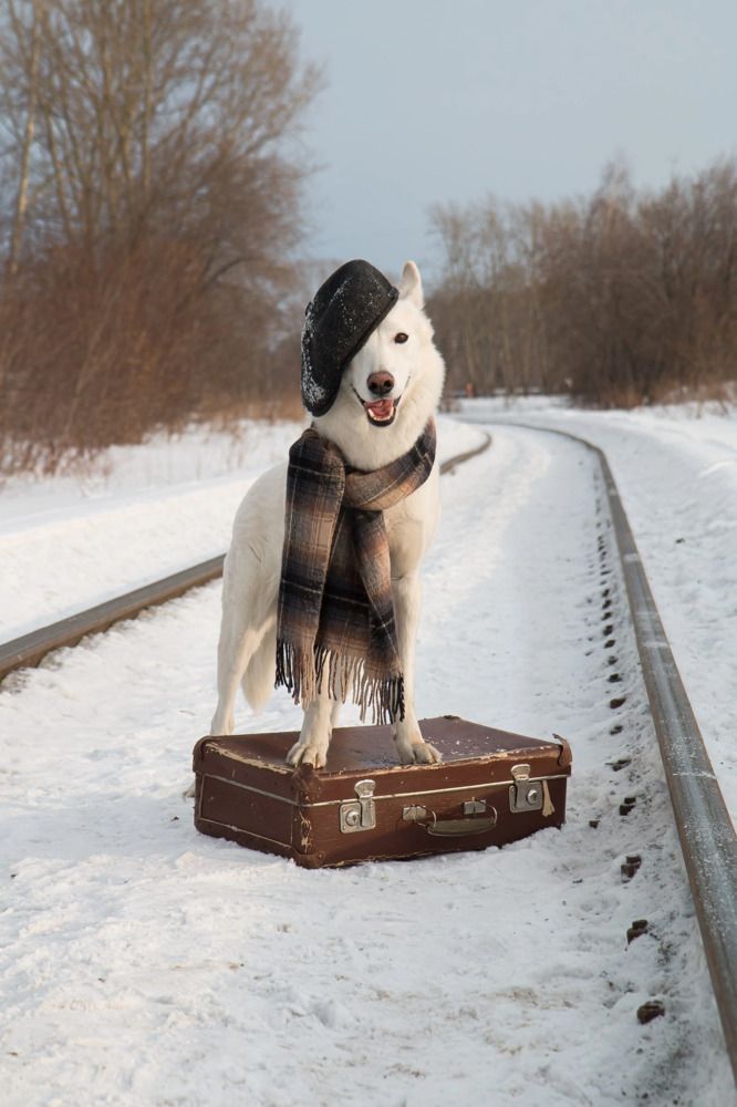 Photograph by Наталья Гашинская