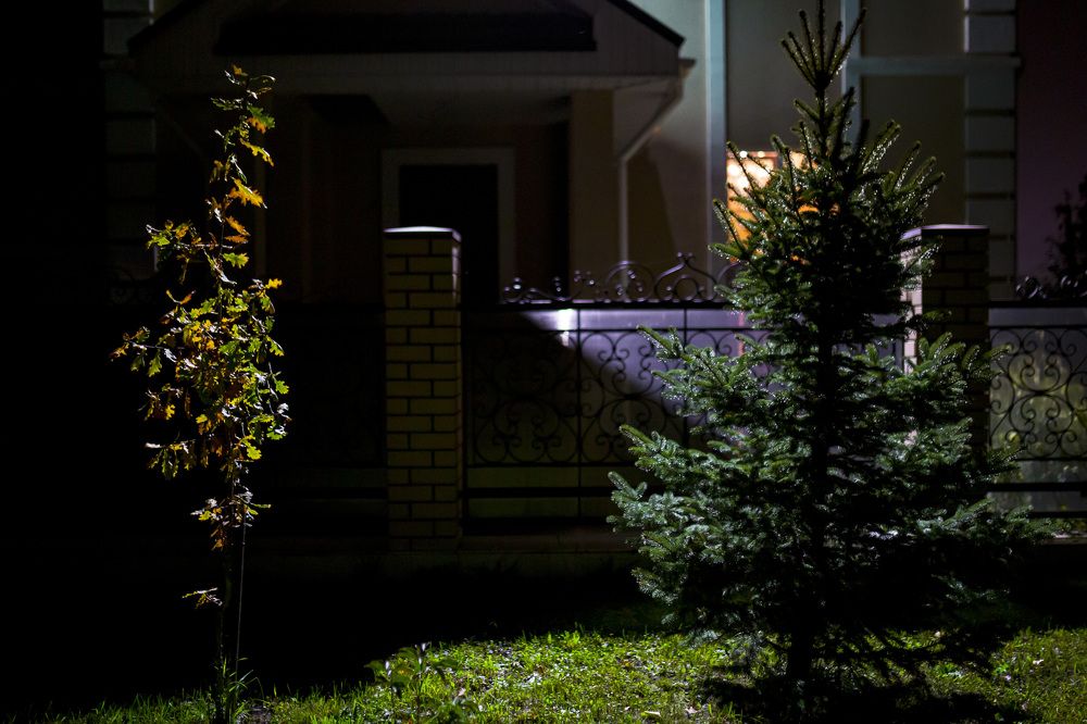 Photograph by Каргин Валерий