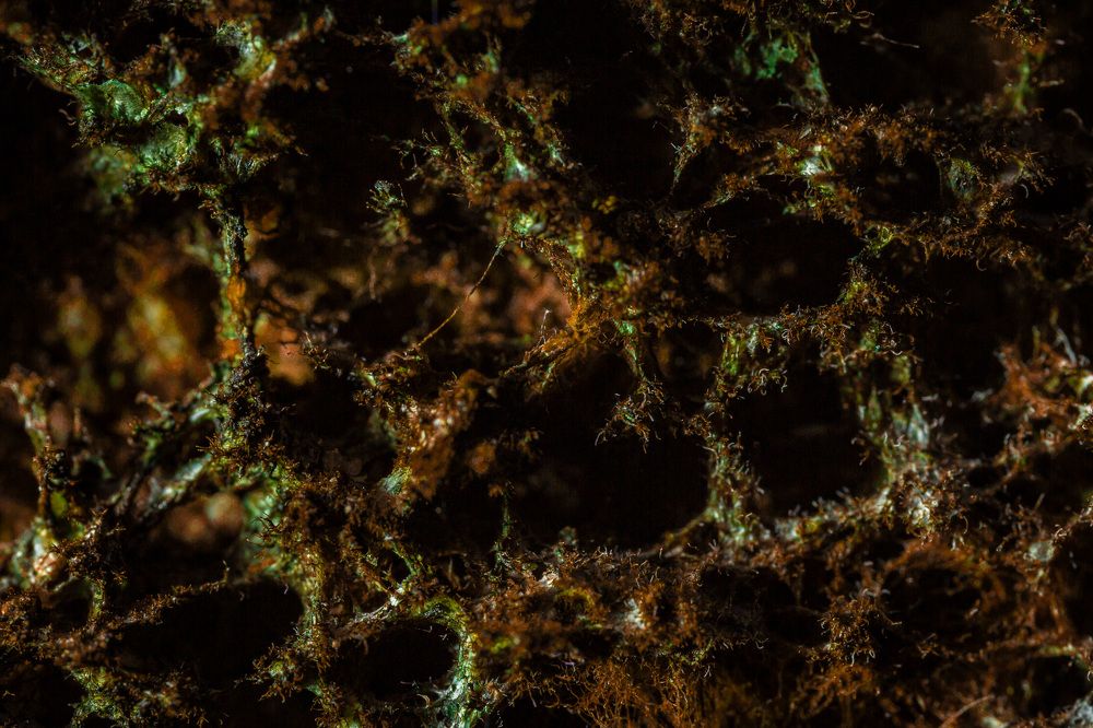 Photograph by Дмитрий Грошиков