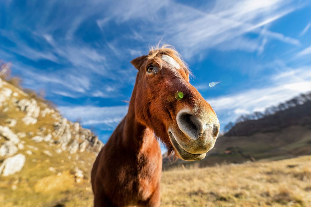 Photograph by Adrian Grigore