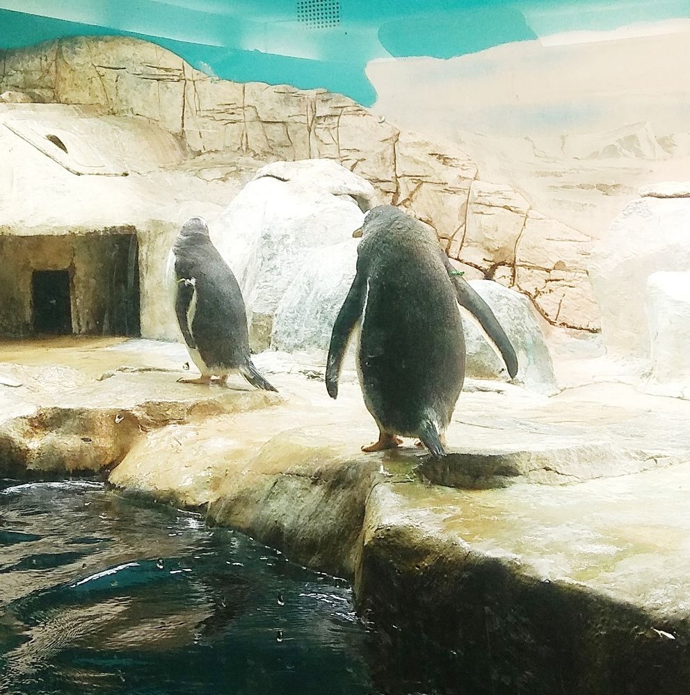 Photograph by Татьяна Кунц