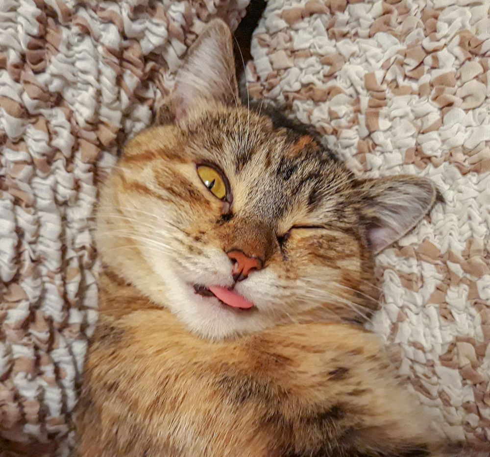 Photograph by Герман Корнеев