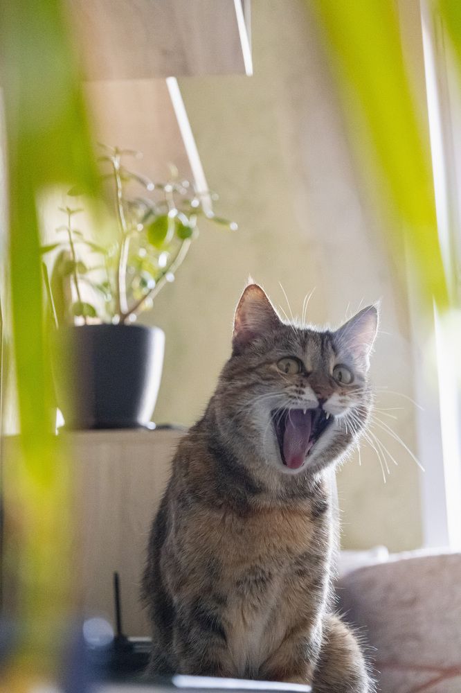 Photograph by Герман Корнеев