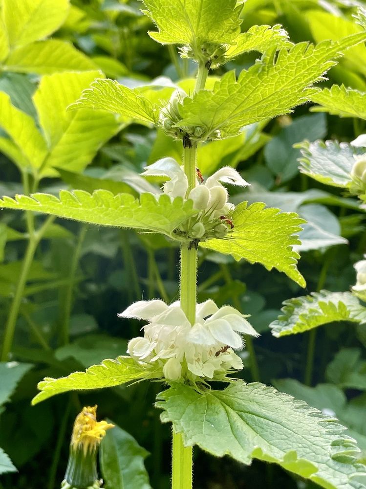 Photograph by Мария Фомина