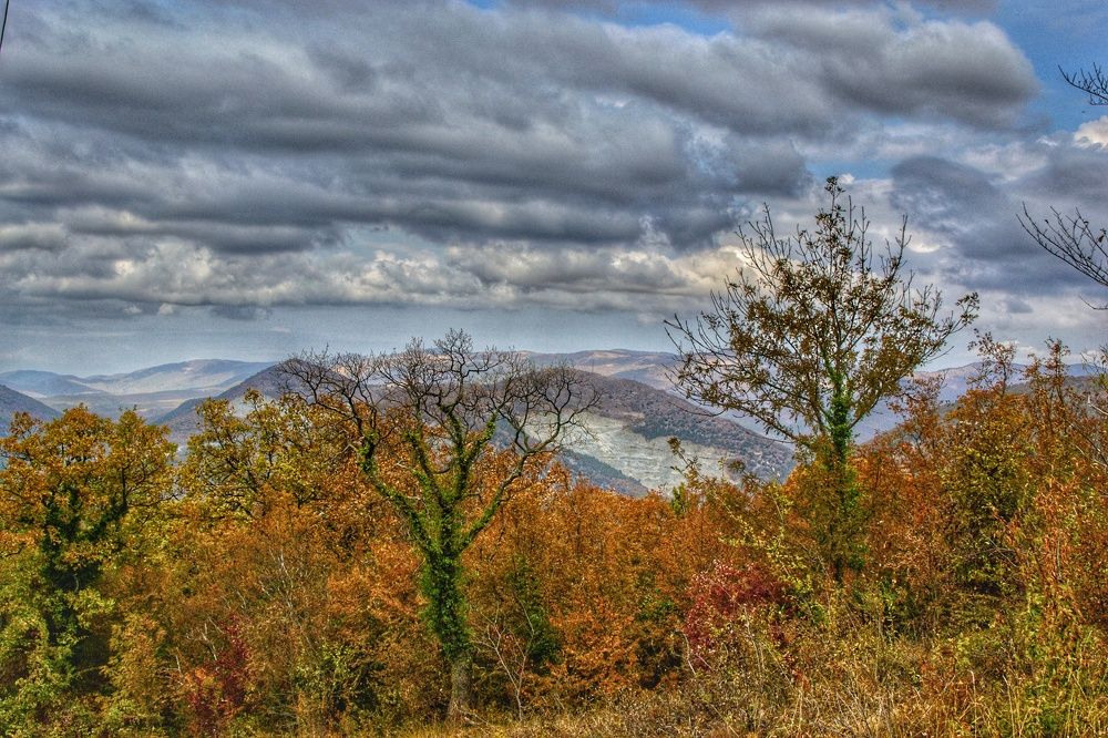 Photograph by Василиса Прекрасная