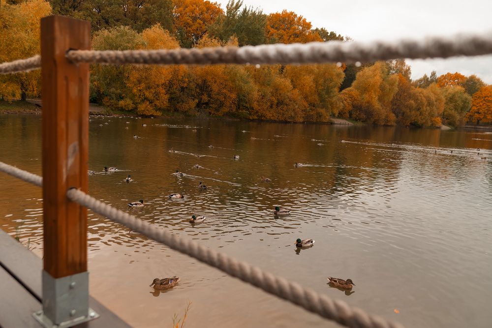 Photograph by Валентина Ермилова