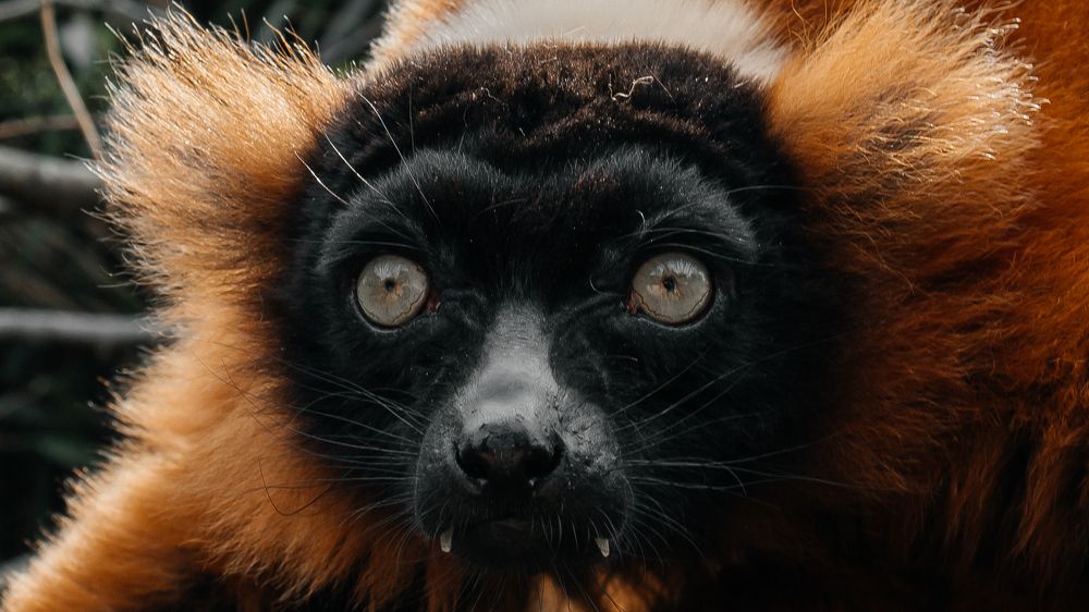 Photograph by Artem Mezhuev