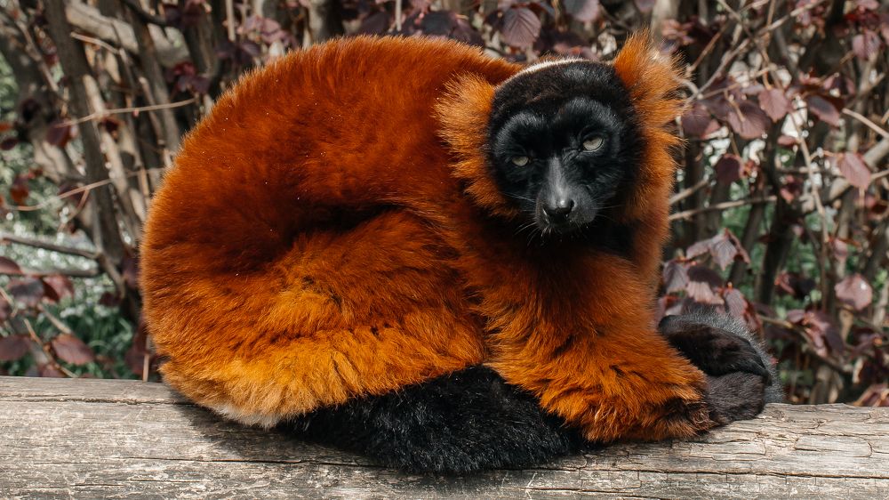 Photograph by Artem Mezhuev