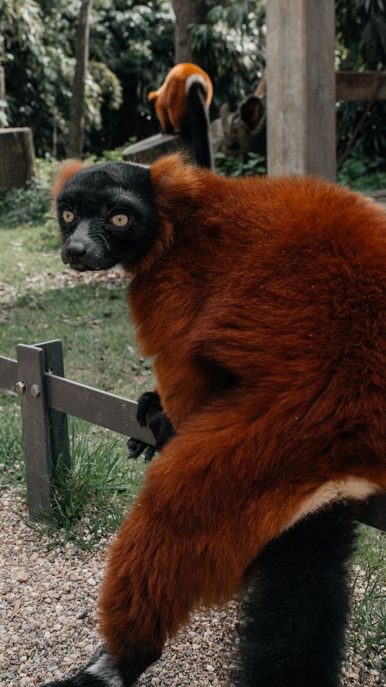 Photograph by Artem Mezhuev