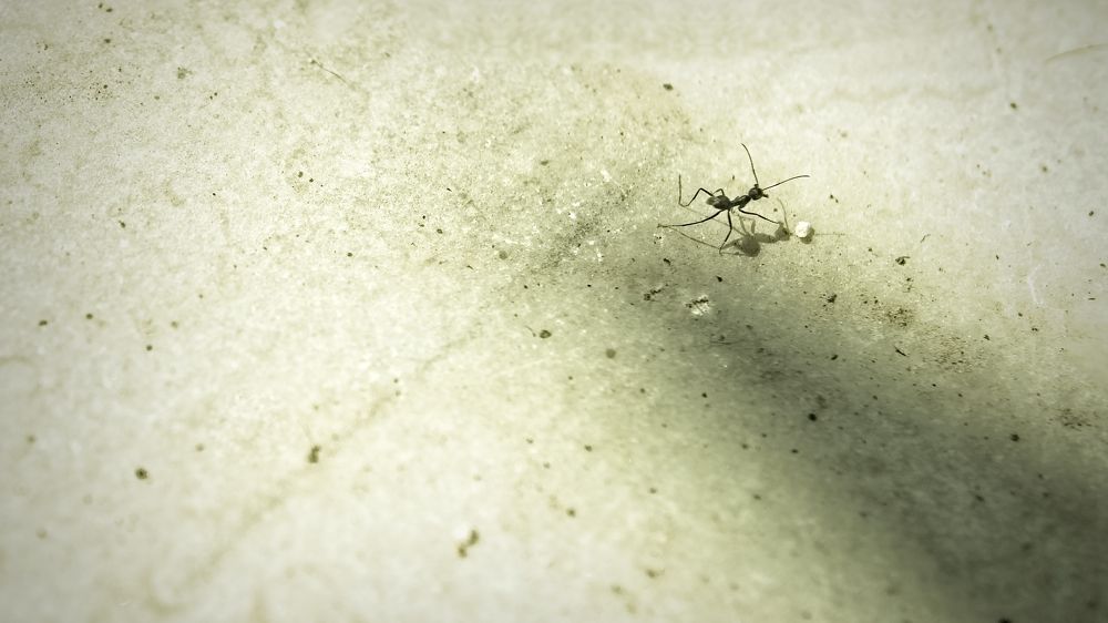 Фотография автора savitri Rawat