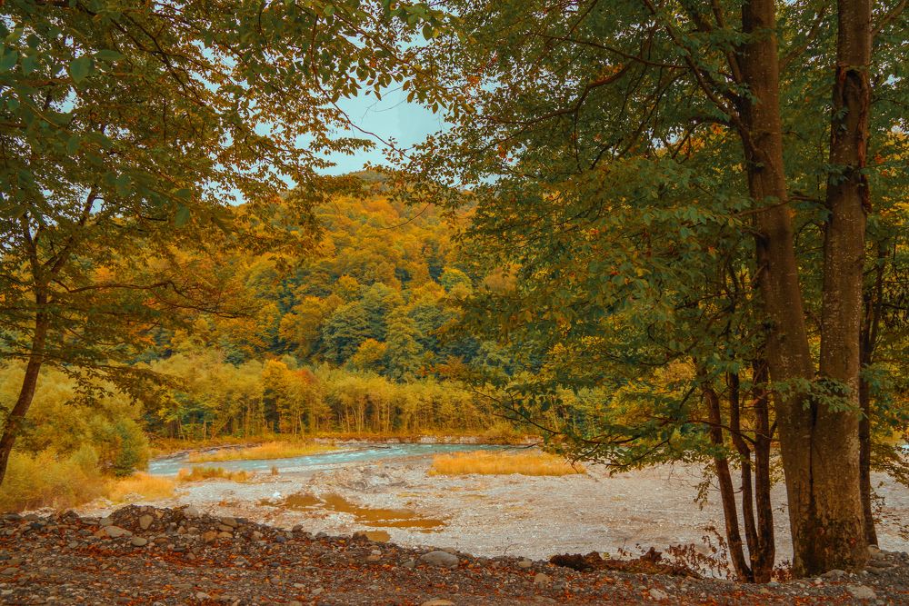 Photograph by Дина Железнова