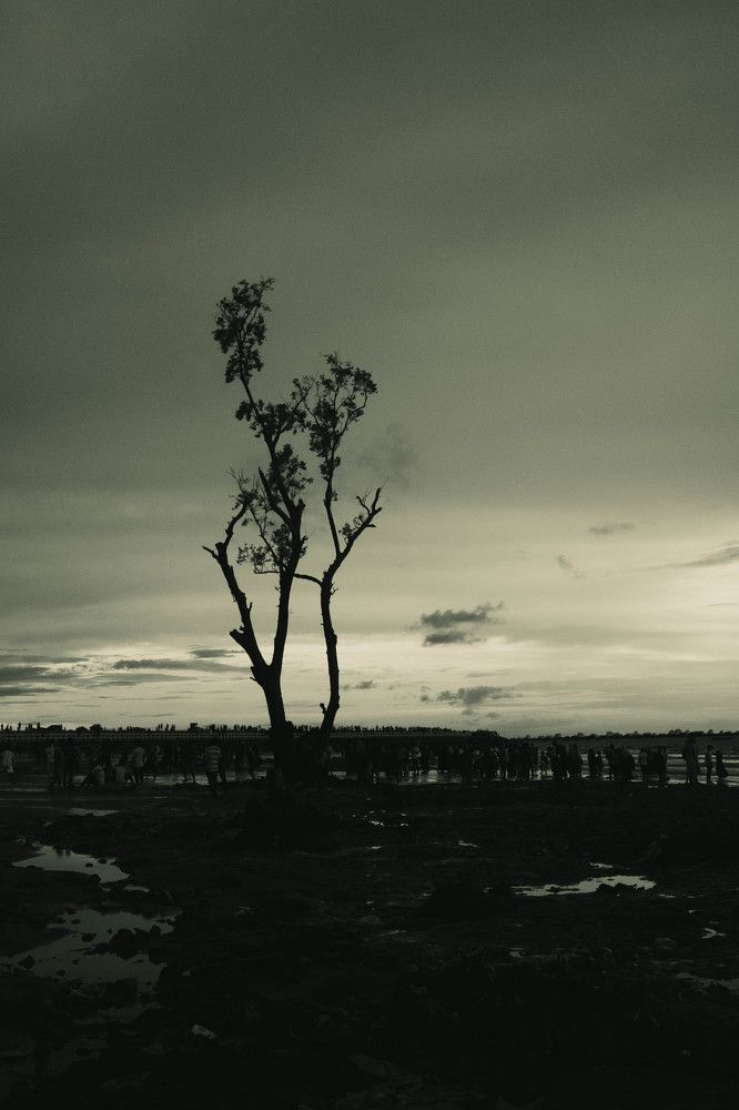 Photograph by Najmul Huda