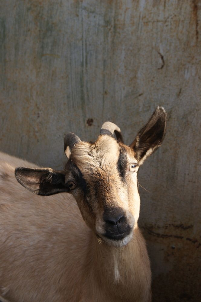 Photograph by Александра Никитина