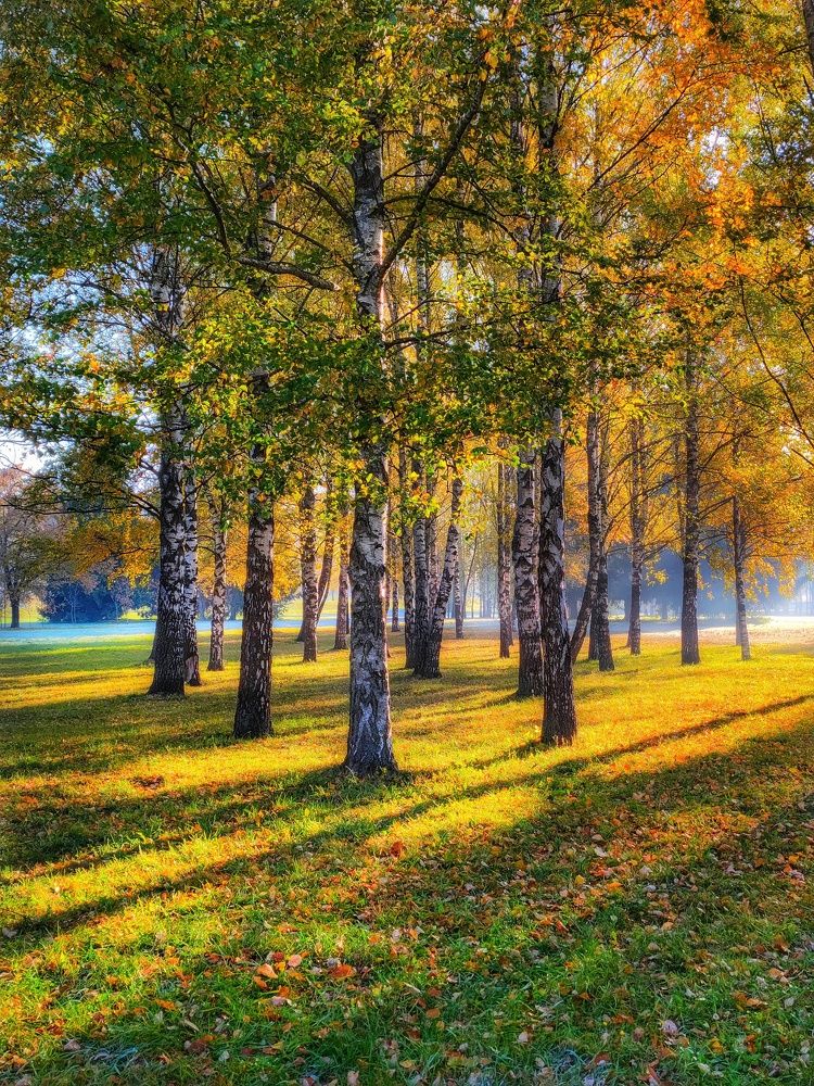 Photograph by Владимир Шаруба