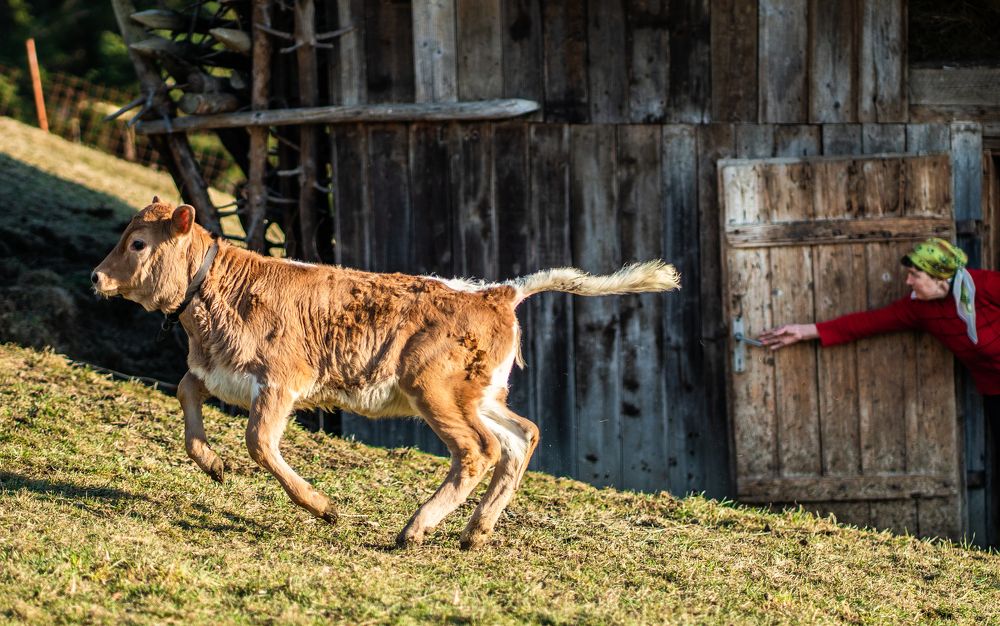 Photograph by Adrian Grigore