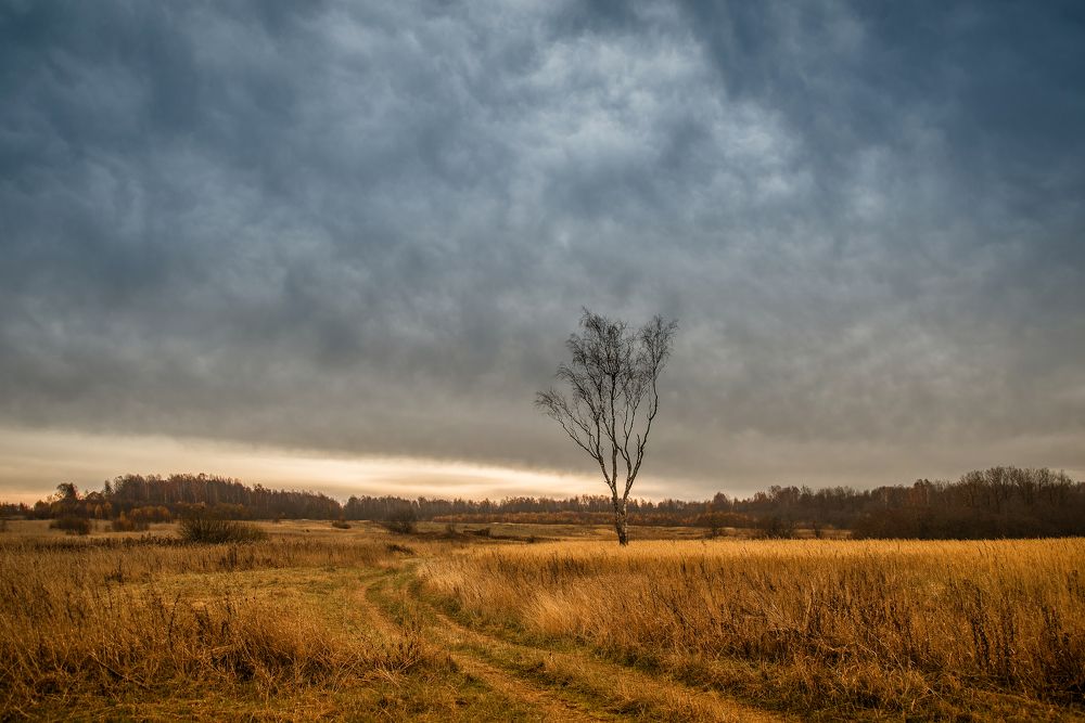 Photograph by Николай Смолянкин