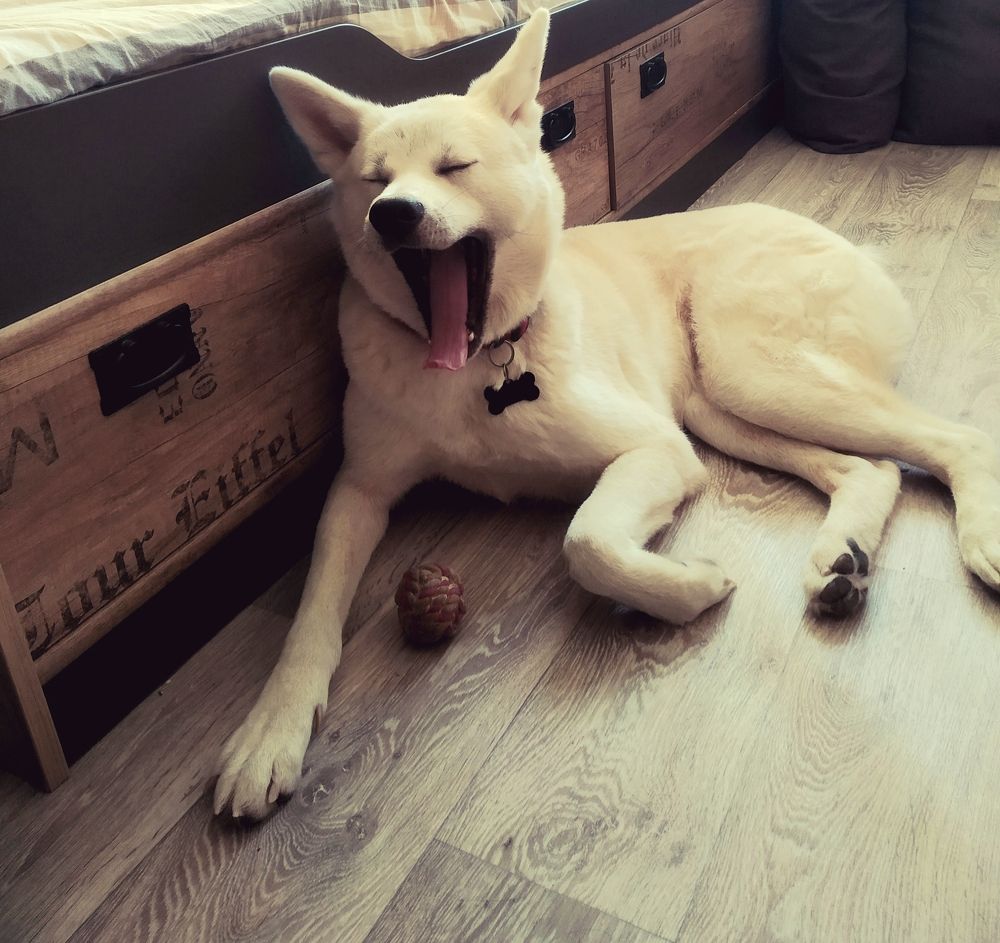 Photograph by Olga Александрова