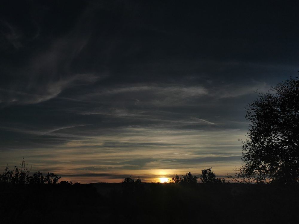 Photograph by Nikolett Mengyi