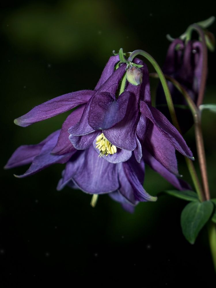 Photograph by Тамара Аржанова