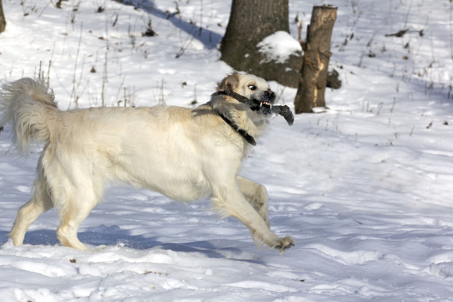 Photo #9647017