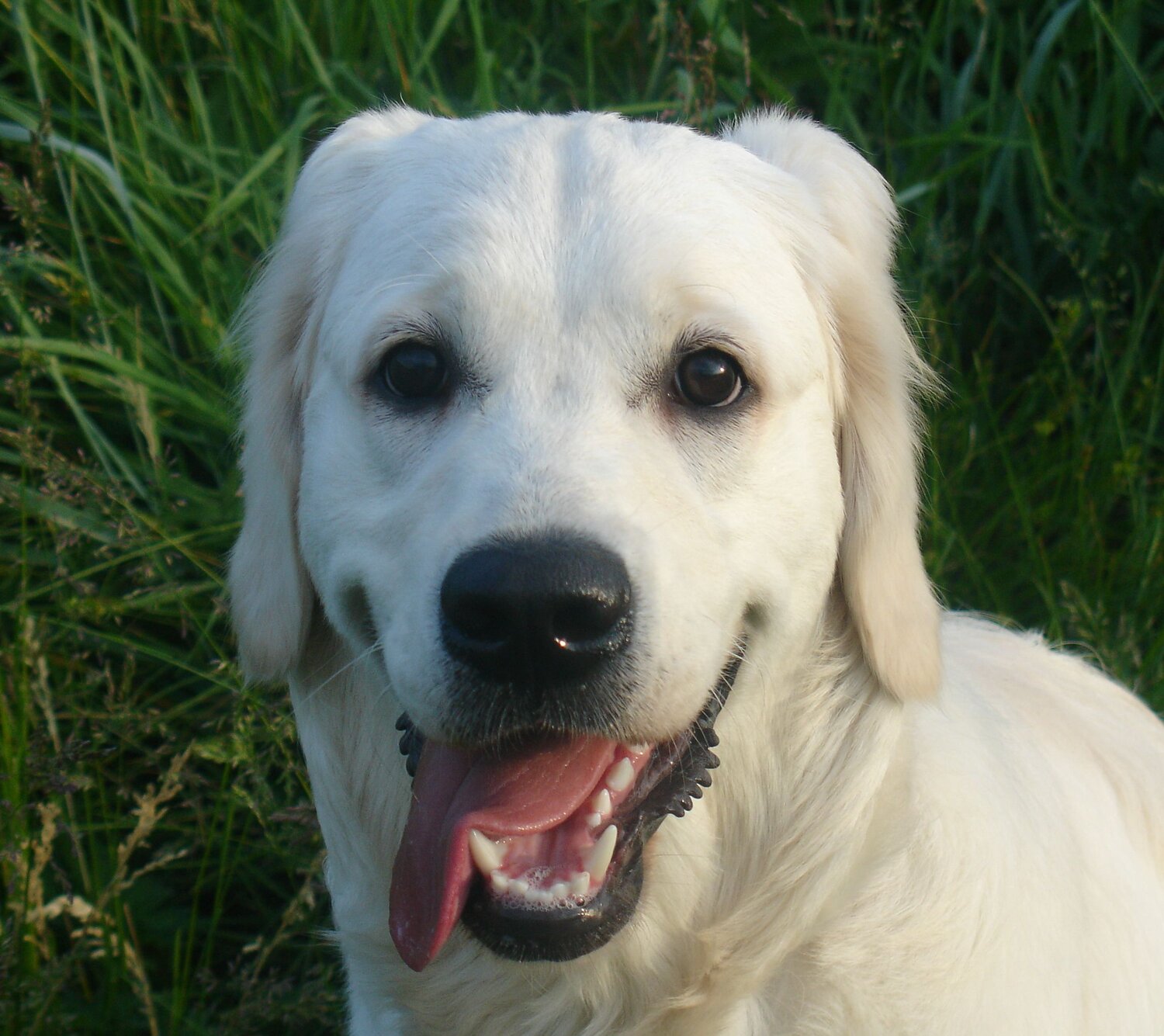 Photo #9647031