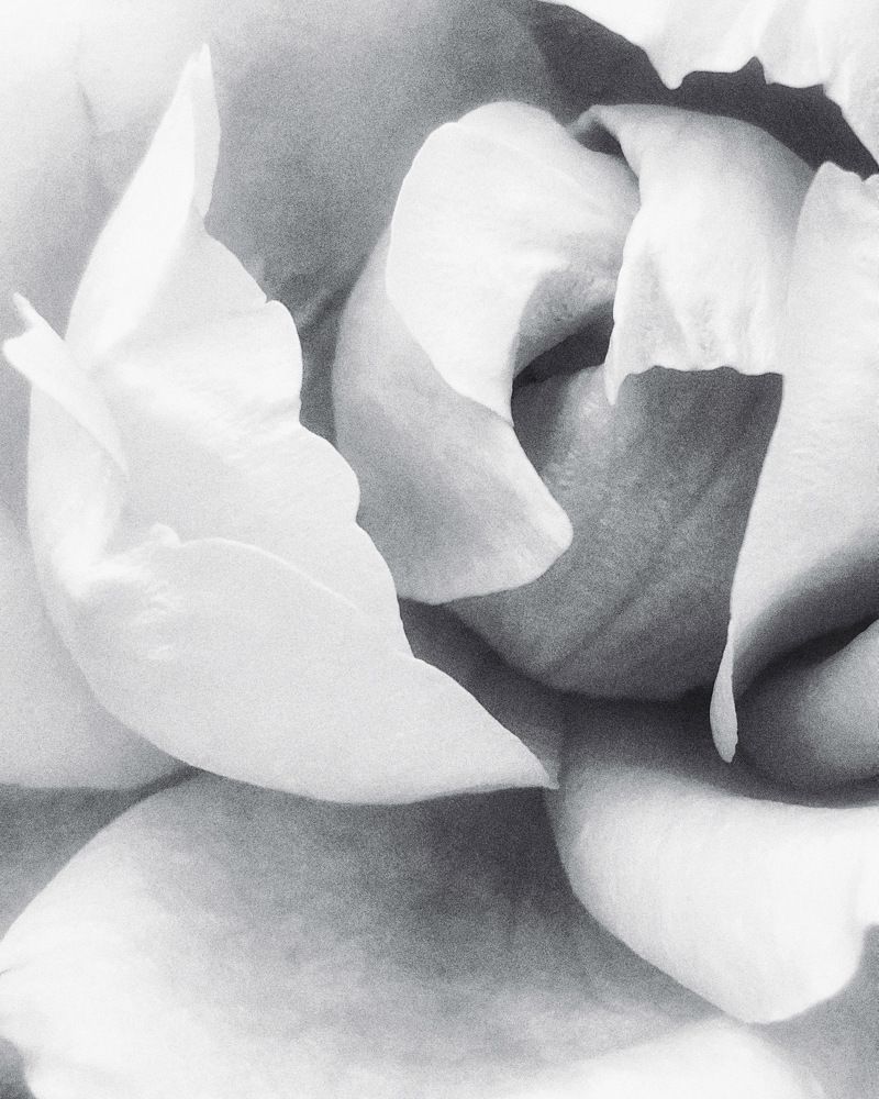 Photograph by Света Кузнецова