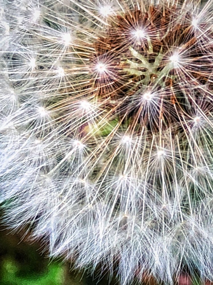 Photograph by Света Кузнецова