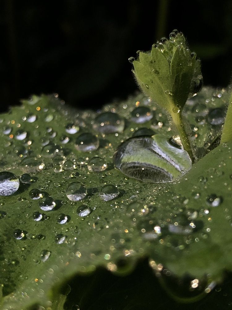 Photograph by Света Кузнецова