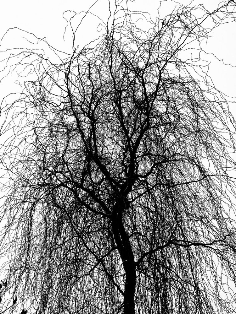 Фотография автора Рамзия Хисамутдинова