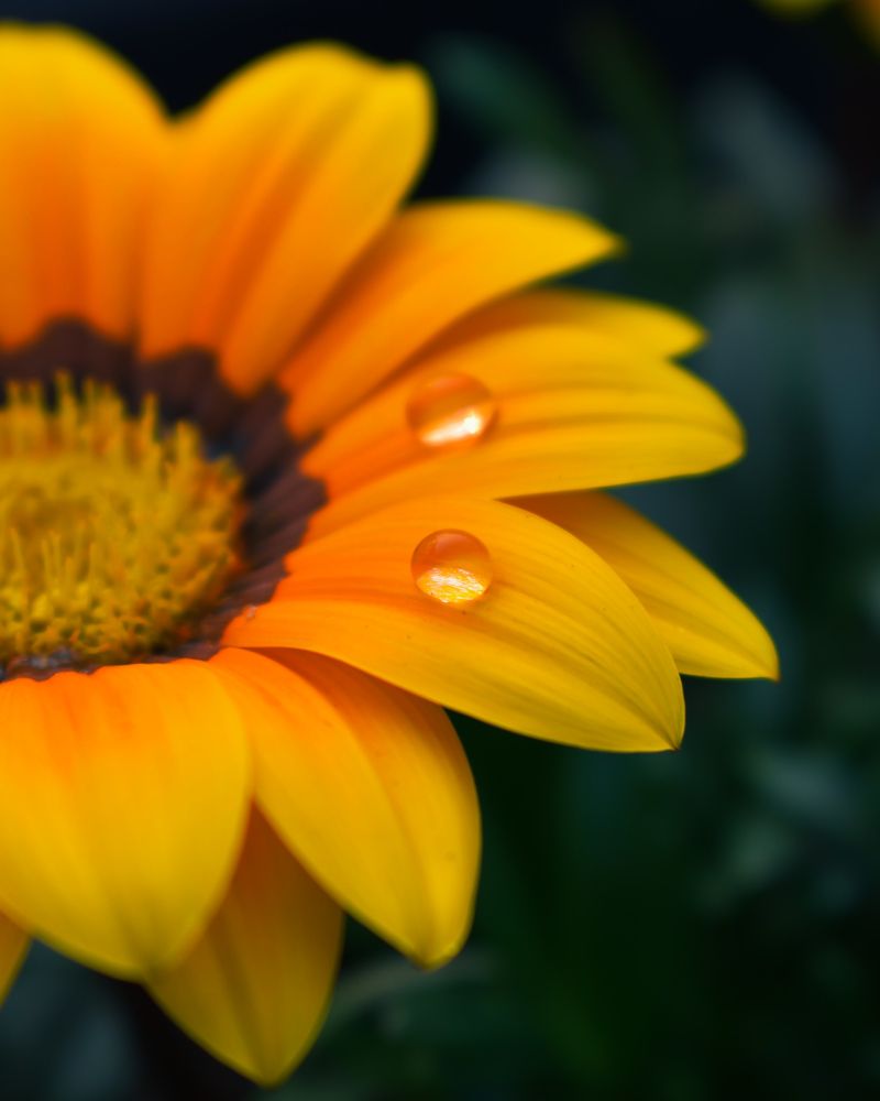 Photograph by Aritra Mukherjee