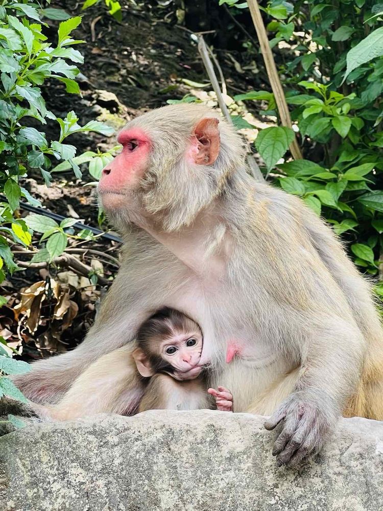 Photograph by Naresh kumar gyawali