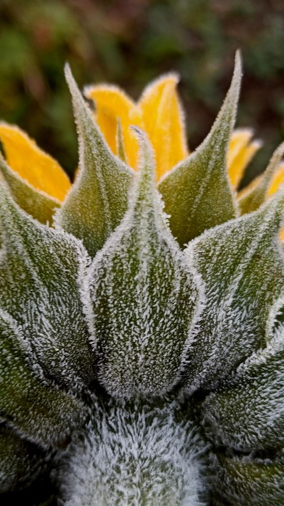 Photograph by Eлена Смирнова