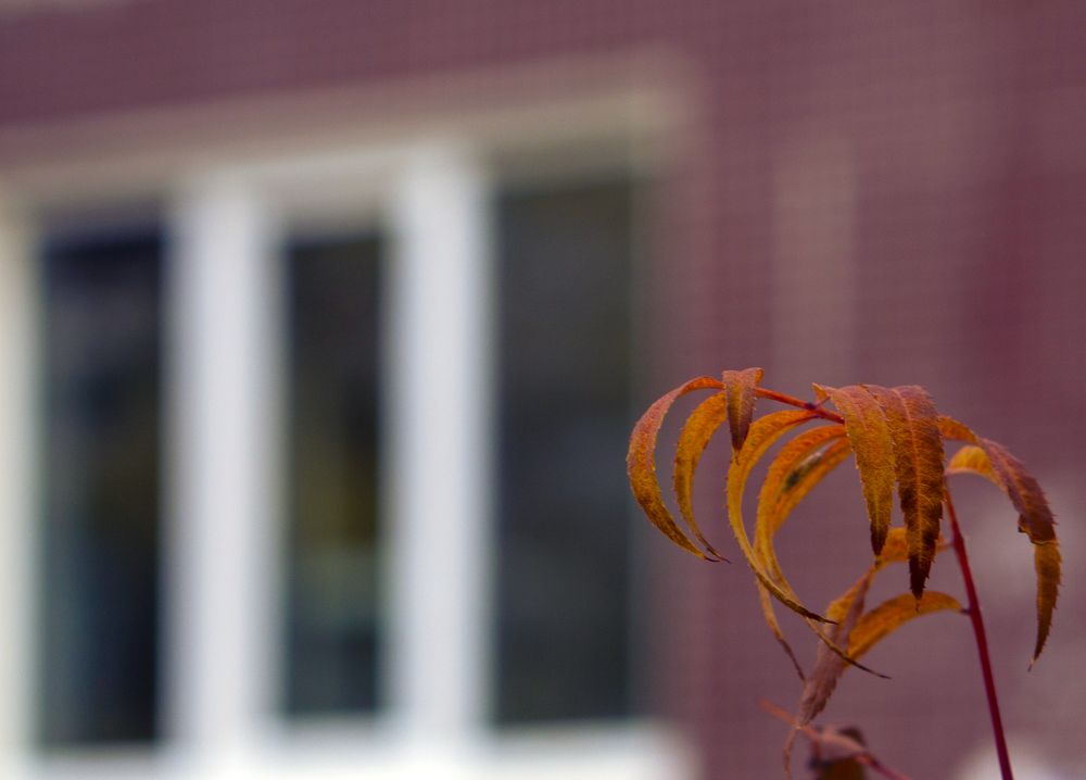 Photograph by Александр Пургин