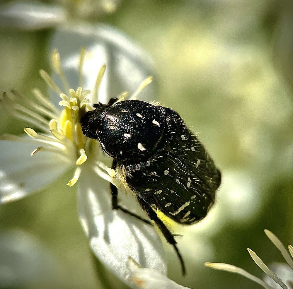 Фотография автора Рамзия Хисамутдинова
