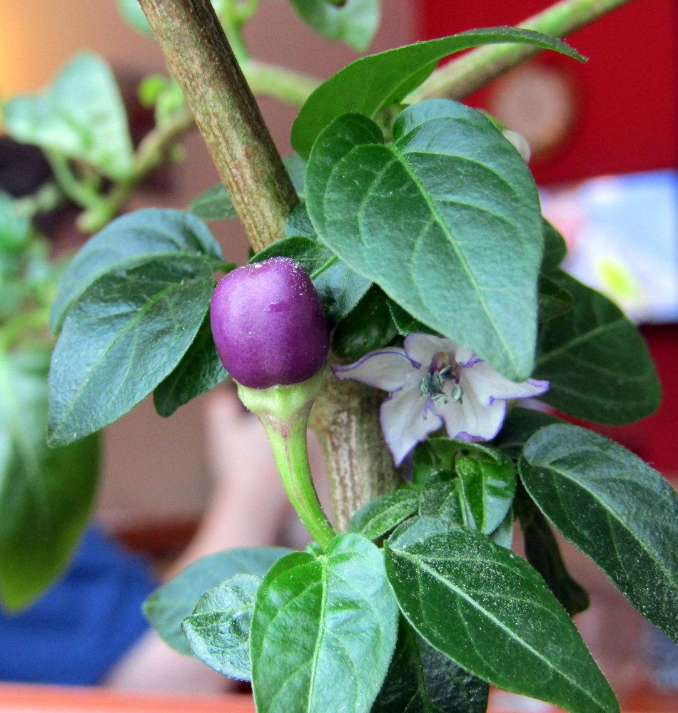 Photograph by Татьяна Смирнова