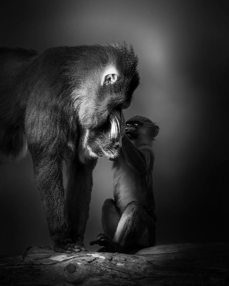 Photograph by Marie-george Lavaurs