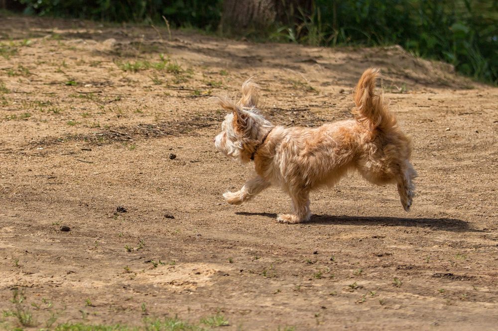 Photograph by Татьяна Семенова