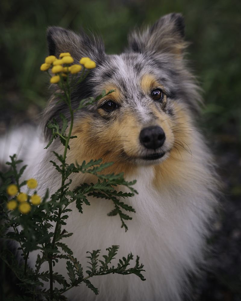 Photograph by Anna Sindikayeva