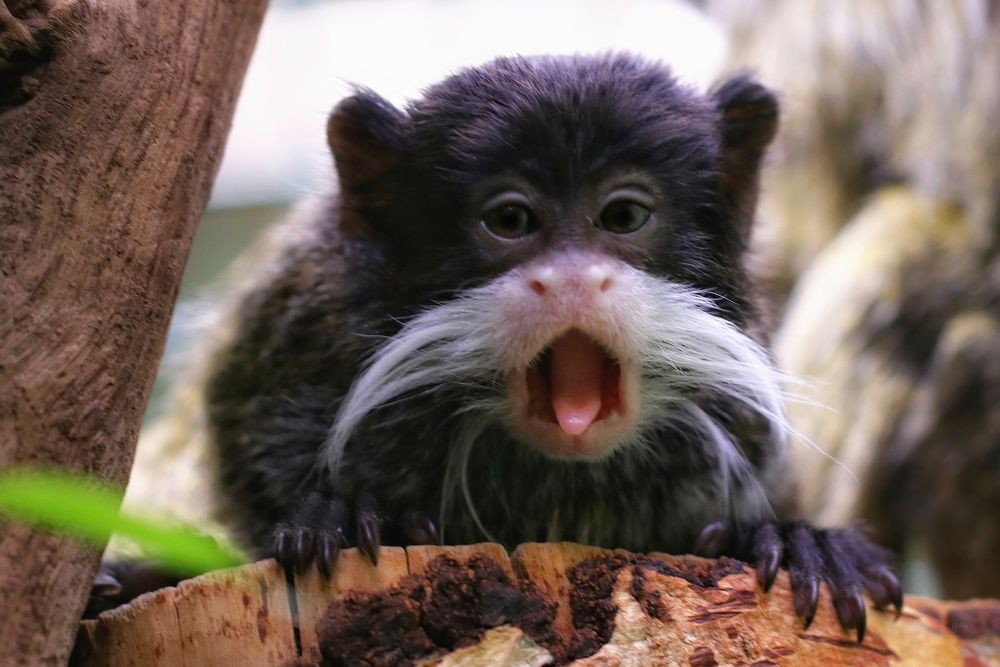 Photograph by Ирина Салминен