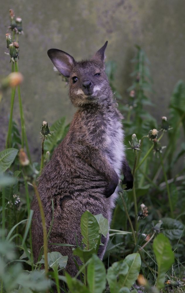 Photograph by Ирина Салминен