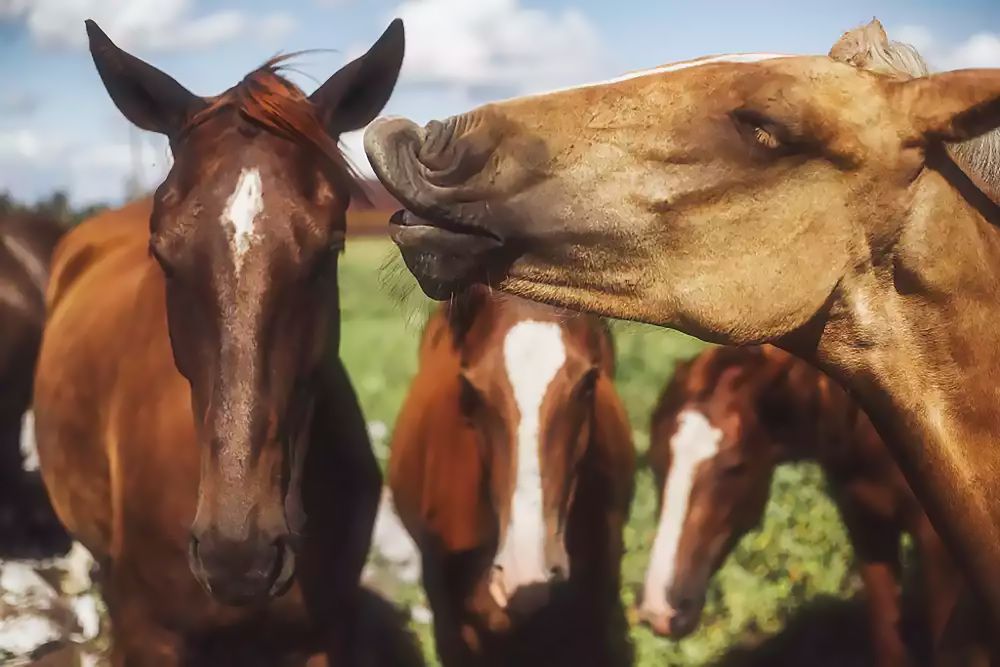 Photograph by Artem Polevnychyi