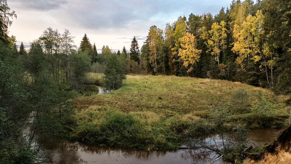 Photo #9647153