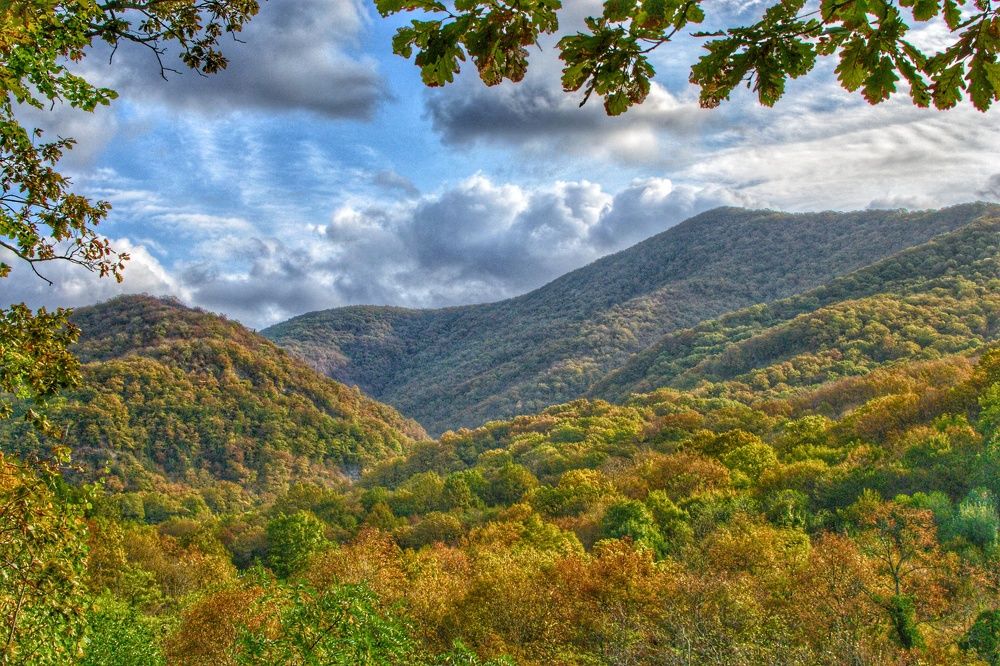 Photograph by Василиса Прекрасная