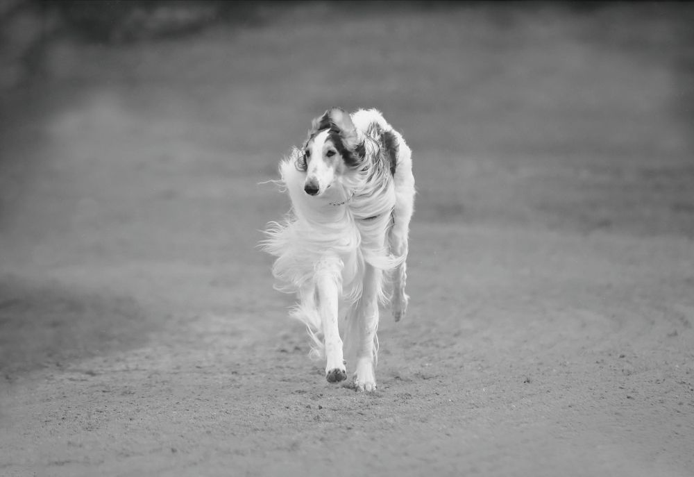 Photograph by Marie-george Lavaurs