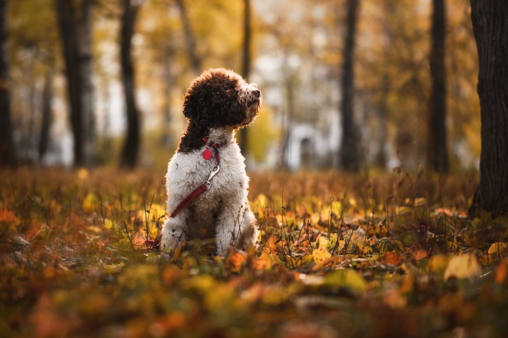 Photograph by Dmitry Ishniyazov