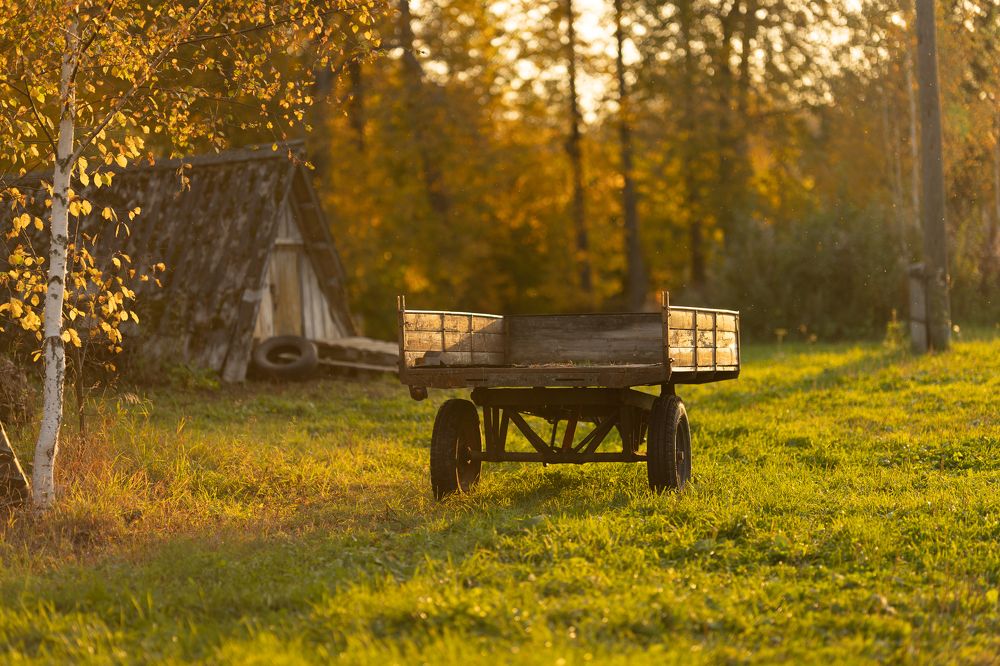 Photograph by Владимир Петухов
